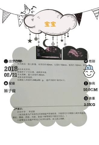 journal_insert_pic_1131797734