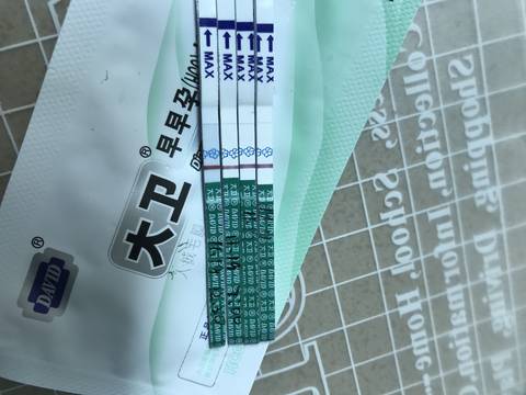 journal_insert_pic_1132684982