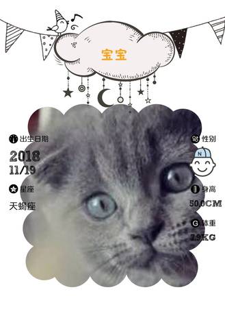 journal_insert_pic_1132754193