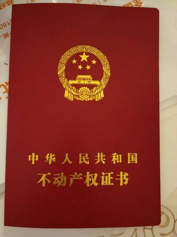 journal_insert_pic_1133408553