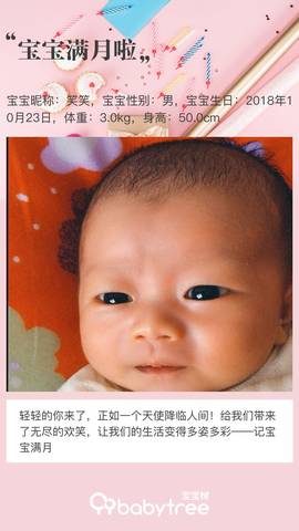 journal_insert_pic_1133115381