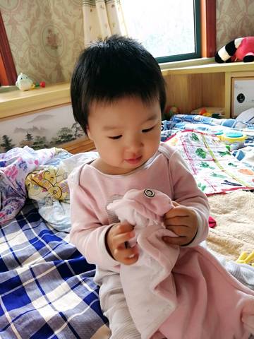 journal_insert_pic_1133148477