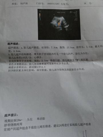 journal_insert_pic_1133874463