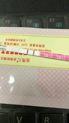 journal_insert_pic_1134376532