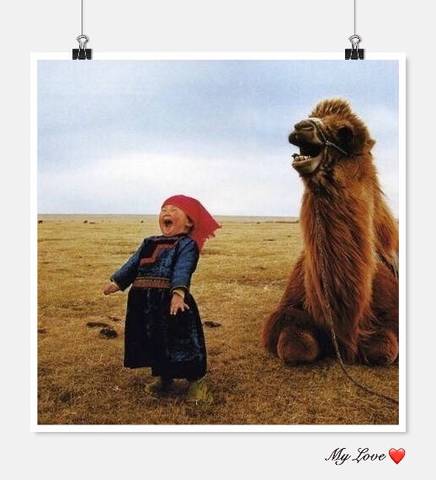 journal_insert_pic_1134361542