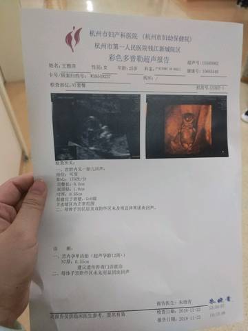 journal_insert_pic_1135058741