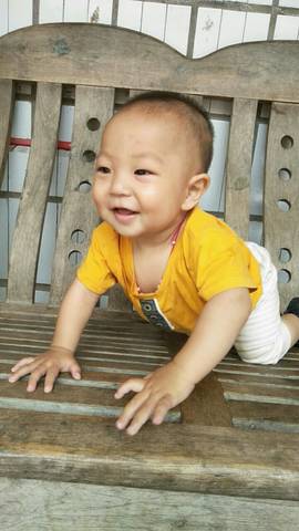 journal_insert_pic_1135472512