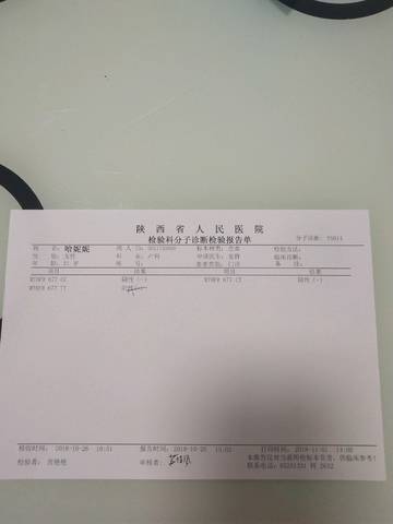 journal_insert_pic_1135138073