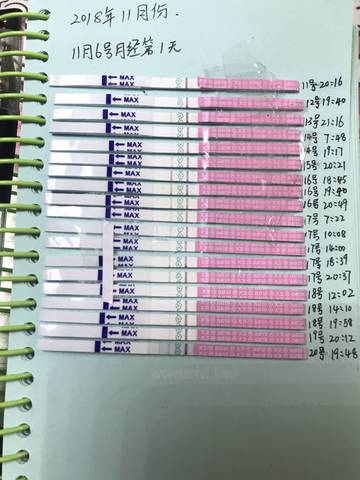 journal_insert_pic_1135252881