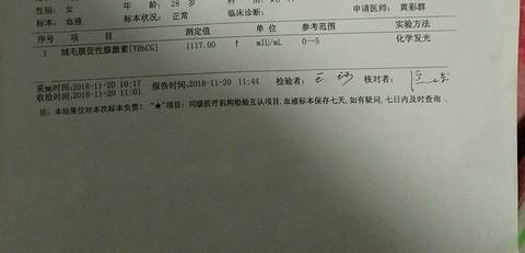 journal_insert_pic_1134937424