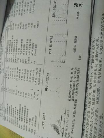 journal_insert_pic_1135536159