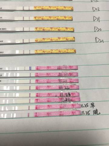 journal_insert_pic_1136832685