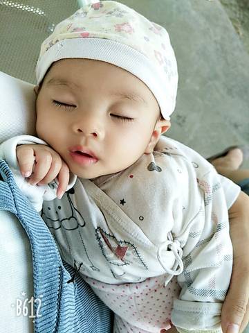 journal_insert_pic_1137034214