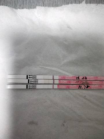 journal_insert_pic_1136222961