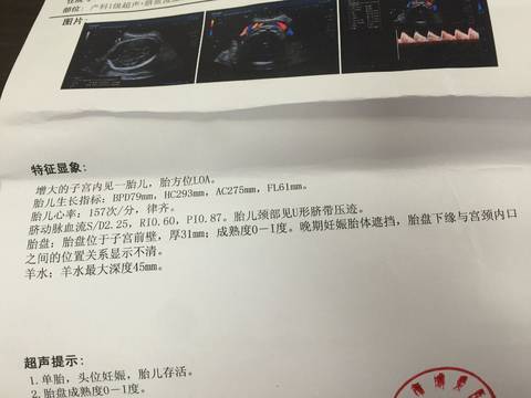 journal_insert_pic_1137300584