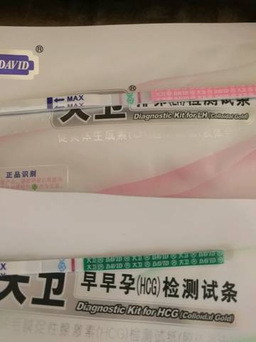 journal_insert_pic_1137311235