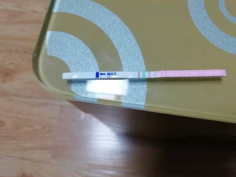 journal_insert_pic_1138996443