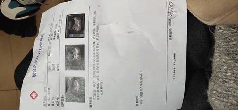 journal_insert_pic_1138685857