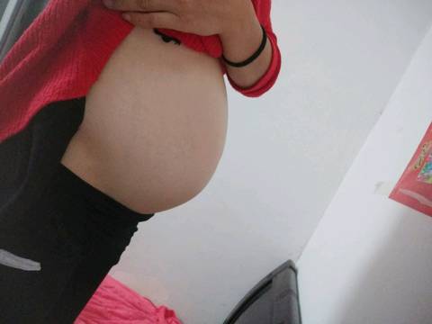 journal_insert_pic_1139223855