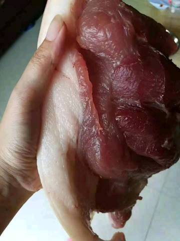 journal_insert_pic_1139967019