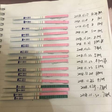 journal_insert_pic_1140892590