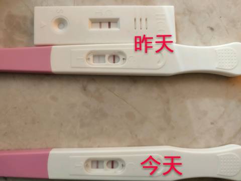 journal_insert_pic_1140262527