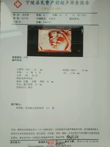 journal_insert_pic_1140187698