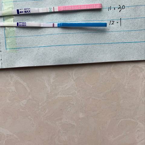 journal_insert_pic_1141268189