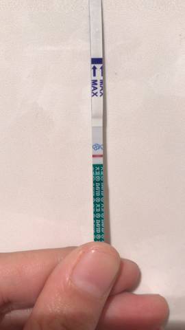 journal_insert_pic_1141590875