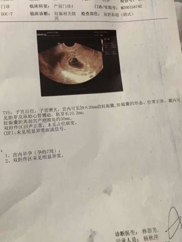 journal_insert_pic_1141993603