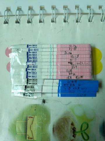journal_insert_pic_1141814282