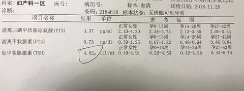 journal_insert_pic_1142435818