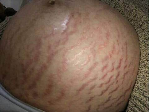 journal_insert_pic_1142453754