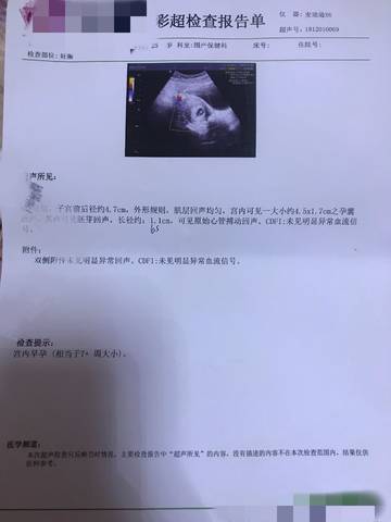 journal_insert_pic_1142574170