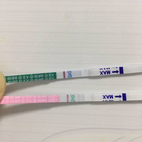 journal_insert_pic_1143957519