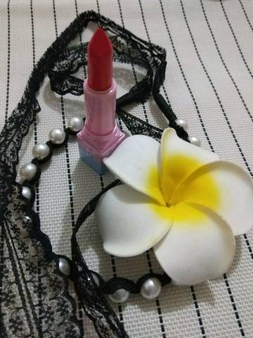 journal_insert_pic_1143531529