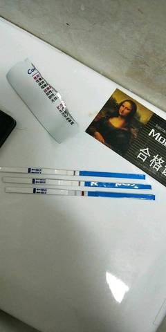 journal_insert_pic_1143623133