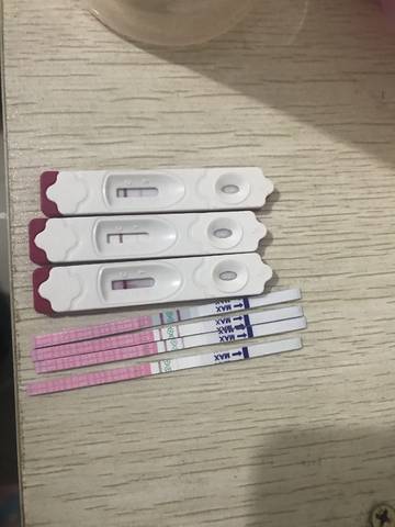 journal_insert_pic_1143637148