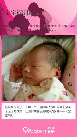 journal_insert_pic_1144479503