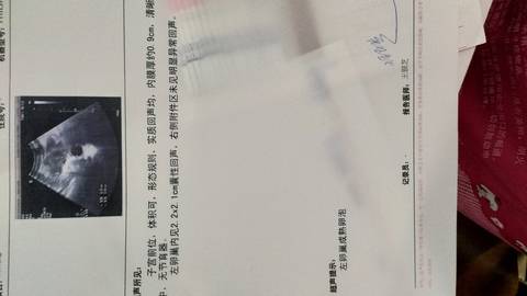 journal_insert_pic_1144417095