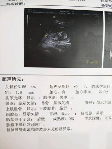 journal_insert_pic_1144793940