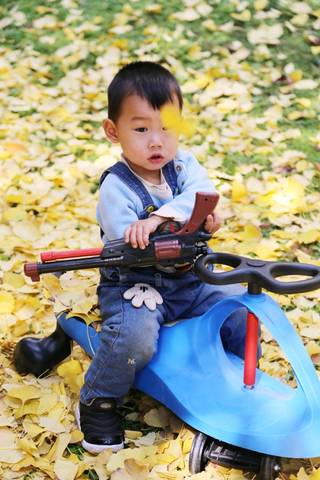 journal_insert_pic_1144900395