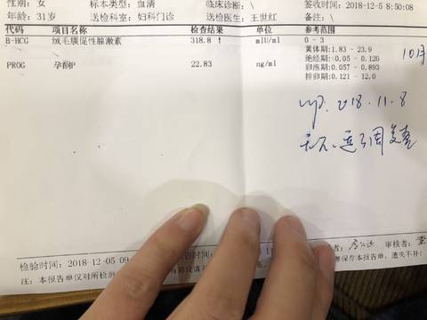 journal_insert_pic_1145802085