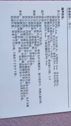 journal_insert_pic_1145960309