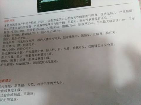 journal_insert_pic_1146168068
