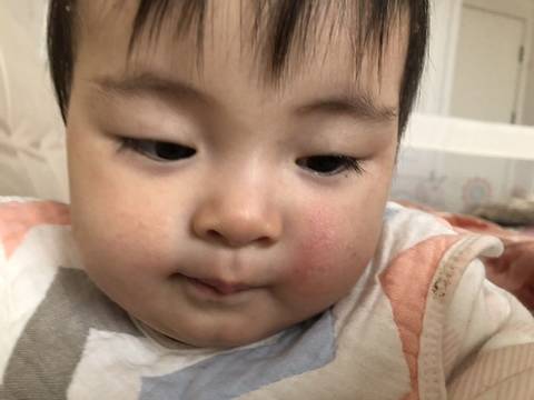 journal_insert_pic_1146229044