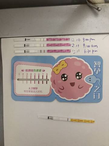 journal_insert_pic_1146911443