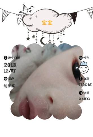 journal_insert_pic_1146910448