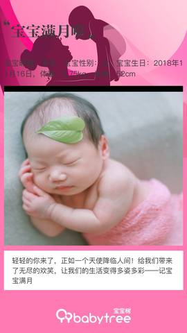 journal_insert_pic_1147524733