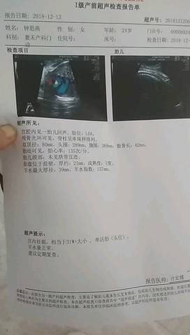 journal_insert_pic_1147934093